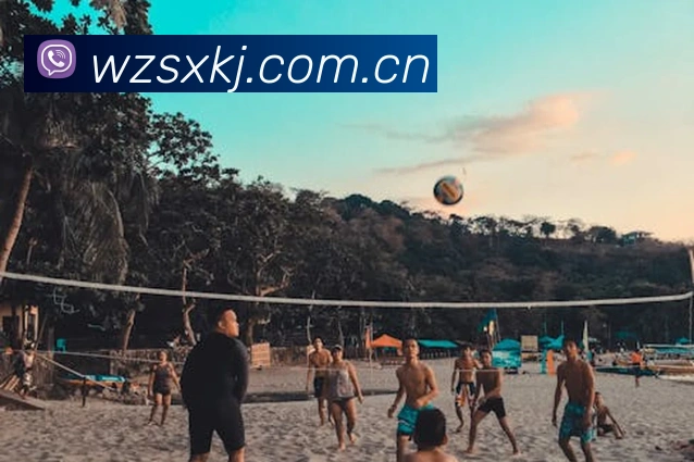 ob体育网页平台生态图